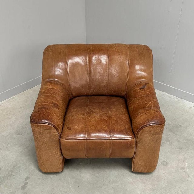 Vintage DS44 Lounge Chair from de Sede, 1970s For Sale - Image 4 of 15