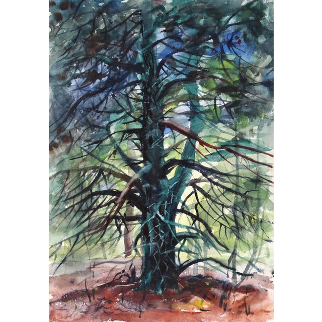 Eve Nethercott, Tree (P5.61), Watercolor on Paper For Sale