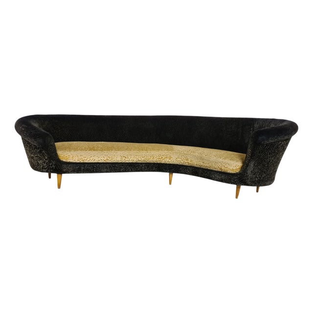 Curved Sofa by Federico Munari, 1950s For Sale