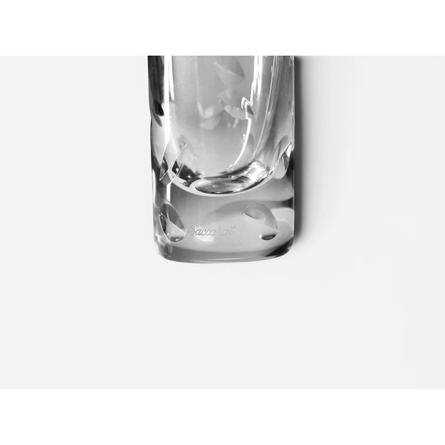 Rice Grain Baccarat Vase from Soliflore, France, 1970s For Sale - Image 3 of 5