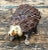 Vintage Textured Ceramic Hedgehog Sculpture For Sale - Image 11 of 14