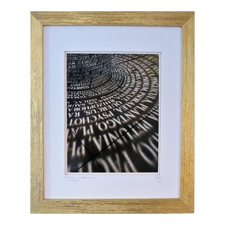 Limited Edition Framed Photography by C. Damien Fox For Sale