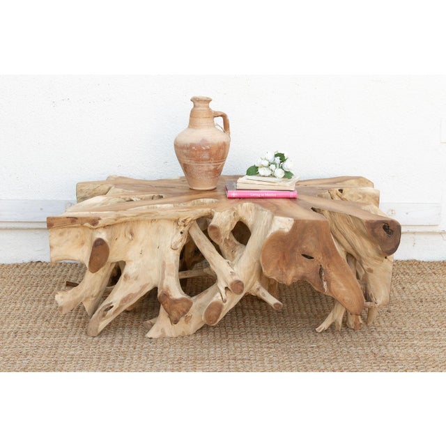 Sculptural Live Form Teak Root Coffee Table For Sale - Image 9 of 9