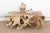 Sculptural Live Form Teak Root Coffee Table For Sale - Image 9 of 9
