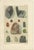 Antique Gemstone Prints with Diamond, Garnet & Tourmaline, Germany, 1900, Set of 4 For Sale - Image 5 of 9