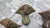 Art Nouveau Cast Iron Bathtub Legs with Eagle Claw Design, Set of 4 For Sale - Image 3 of 8