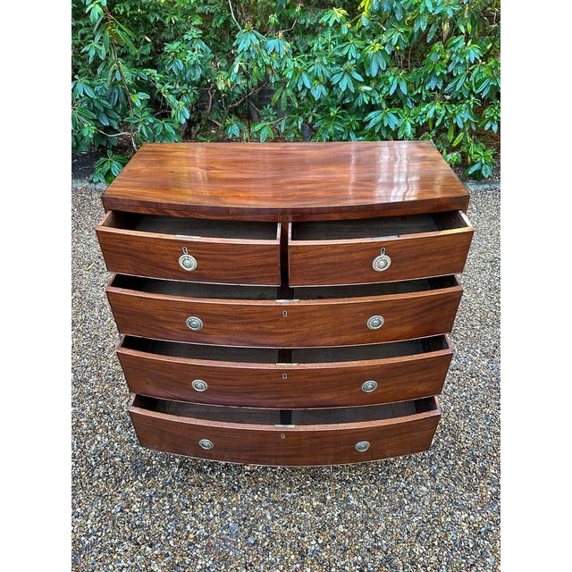 Wood Antique Georgian Mahogany Bow Fronted Chest of Drawers, 1820 For Sale - Image 7 of 9