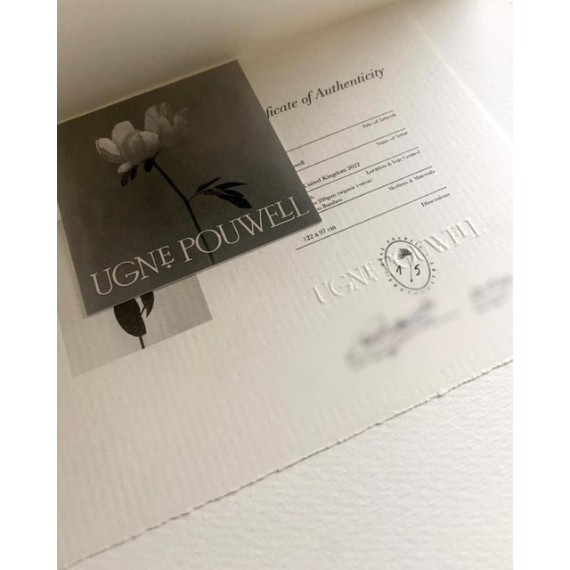 Ugne Pouwell, Lilly, 2022, Photography For Sale - Image 7 of 10