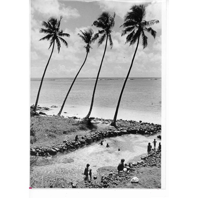 1973 Samoa Tropical Island Black & White Photograph For Sale - Image 4 of 4