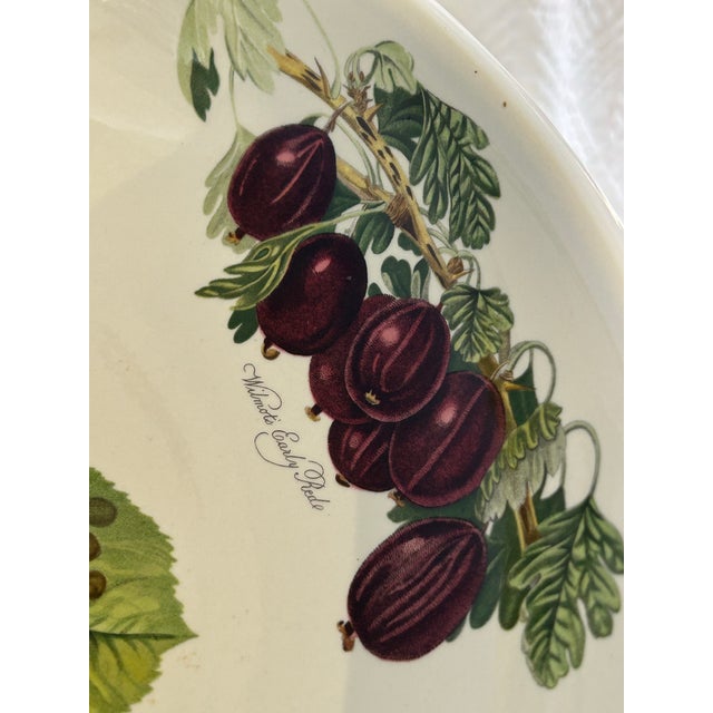 Vintage 1980’s Portmeirion Pomona Fruit Pedestal Bowl or Compote For Sale In New Orleans - Image 6 of 8