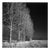 Paul Cooklin, West Thorpe I, Giclee Print, Edition of 50 For Sale