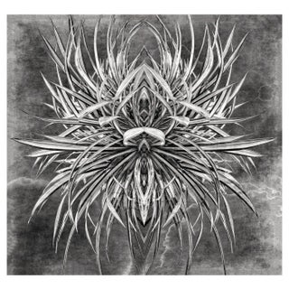 Sumit Mehndiratta, Extraterrestrial Plantation, 2021, Photograph on Canvas For Sale