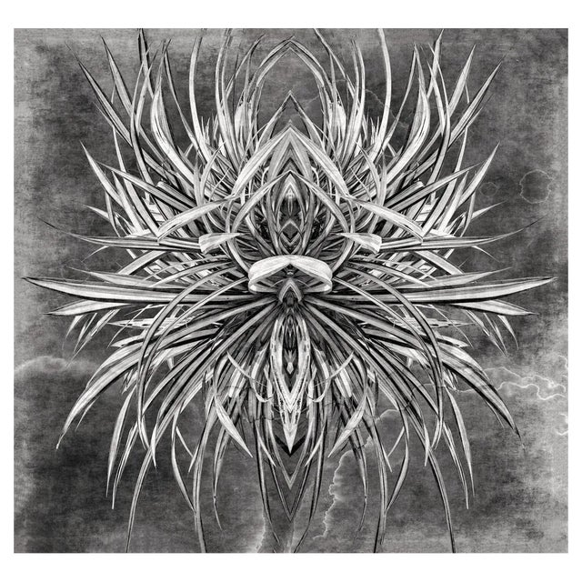 Sumit Mehndiratta, Extraterrestrial Plantation, 2021, Photograph on Canvas For Sale