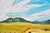 Nancy Coe Mt. Rose Landscape by Nancy Patricia Coe Circa 1968 For Sale In Monterey, CA - Image 6 of 7