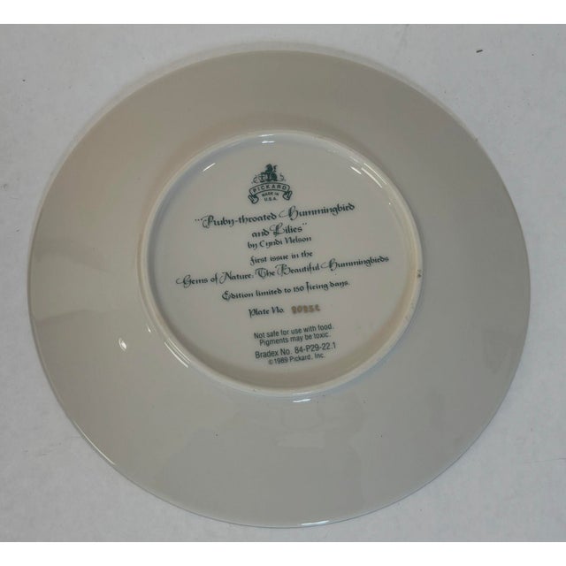 American Gems of Nature the Beautiful Hummingbirds by Cyndi Nelson For Sale - Image 3 of 9