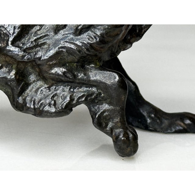 Antique Miniature Austrian Bronze Long Haired Dachshund Sculpture Circa 1900 For Sale - Image 17 of 18