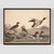 Vintage Bird Duck Print Set of 2 For Sale In Los Angeles - Image 6 of 9