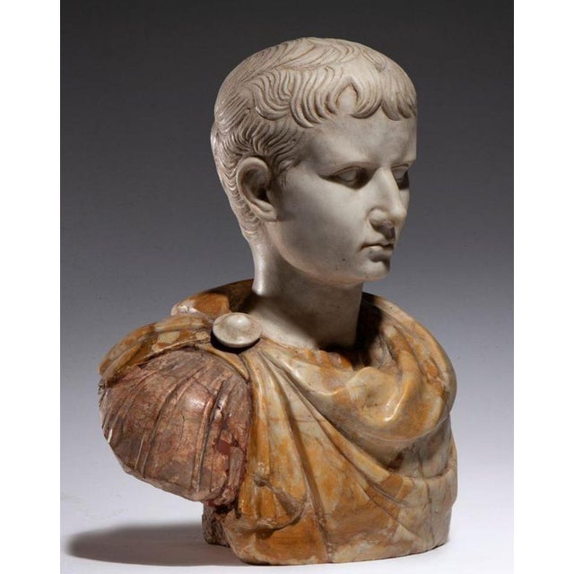 Unknown. Bust of Caesar, Roman Emperor, 19th Century, Marble For Sale - Image 6 of 8