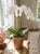Vintage Mid-Century Hand-Carved Teakwood Cache Pot – Etched Botanical Vine Motif For Sale - Image 10 of 12
