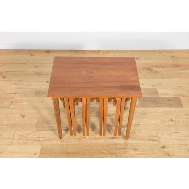 Mid-Century Modern Danish Nesting Tables by Poul Hundevad for Novy Domov, Czechoslovakia, 1960s, Set of 5 For Sale - Image 6 of 18