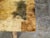 Italian Coffee Table Made of 19th Century Bleached Oak Base and Later Vellum Top For Sale In Atlanta - Image 6 of 12