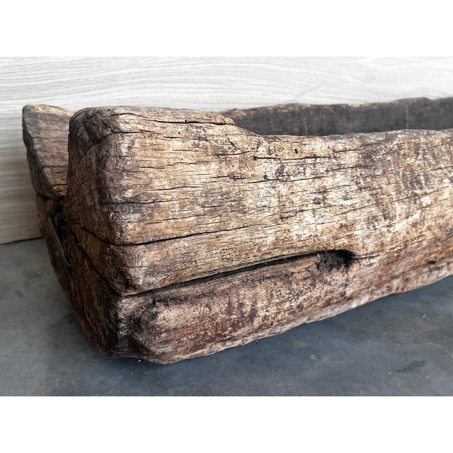 Spanish Antique & Brutalist Hollowed Out Tree Trunk Wooden Planter, 1700 For Sale - Image 12 of 12
