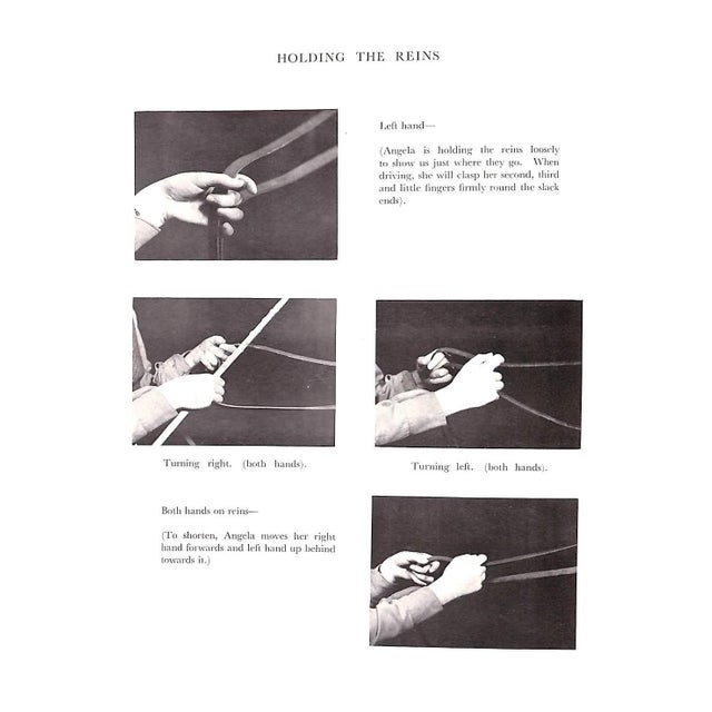 "Learning to Drive Ponies" 1948 Holyoake, Janet For Sale In New York - Image 6 of 11