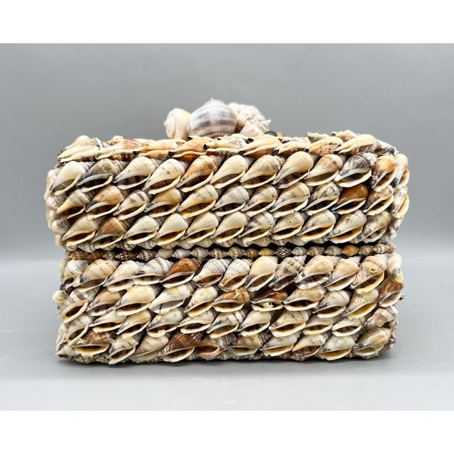 Vintage Coastal Seashell Covered Shell Encrusted Box – Coastal / Tropical For Sale - Image 15 of 18