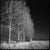 Black & White Signed Limited Edition Prints Exhibition-quality Silver Gelatin Print Signed, dated and inscribed with the...