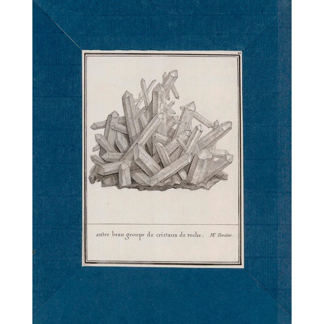 Blue Reproduction Antique Mineral Specimen Folio Prints | Set of 12 | 16" X 20" For Sale - Image 8 of 11