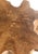 2020s Sculptural Solid Teak Wood Sofa Table With Natural Grain & Bleached Finish For Sale - Image 5 of 11
