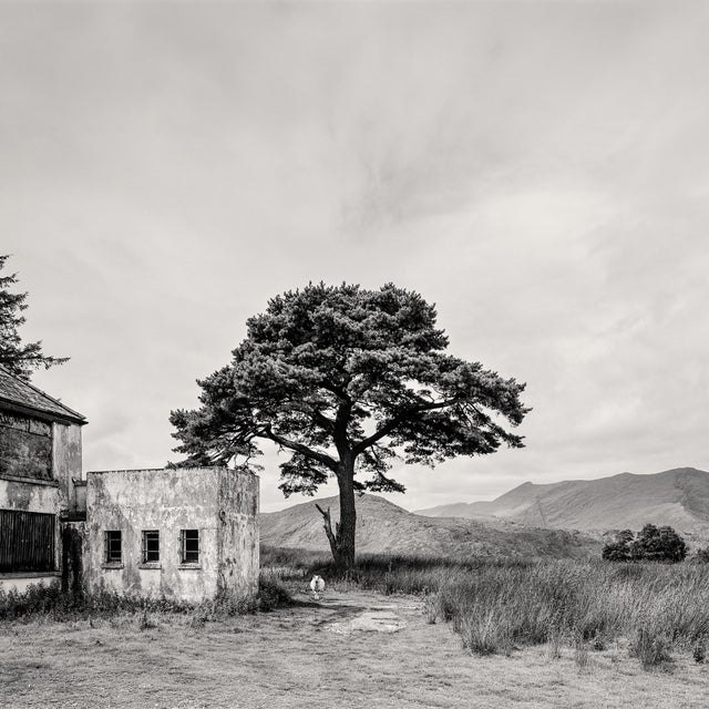 Not Yet Made - Made To Order Guy Sargent, Killarney, Archival Pigment Print For Sale - Image 5 of 6