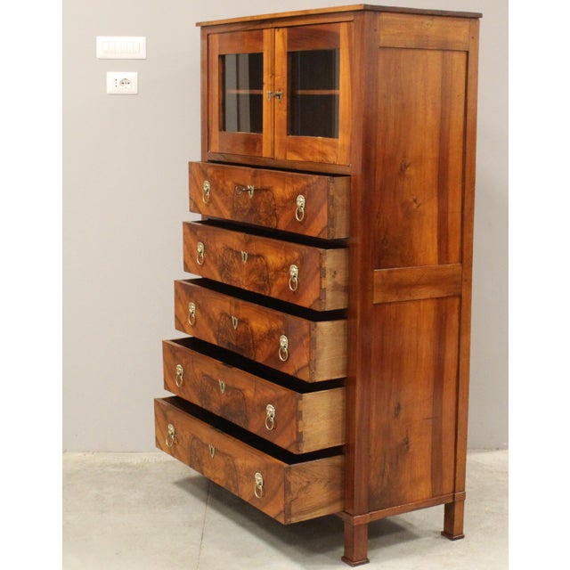 Empire Walnut Display Chest of Drawers, 19th Century For Sale - Image 5 of 17