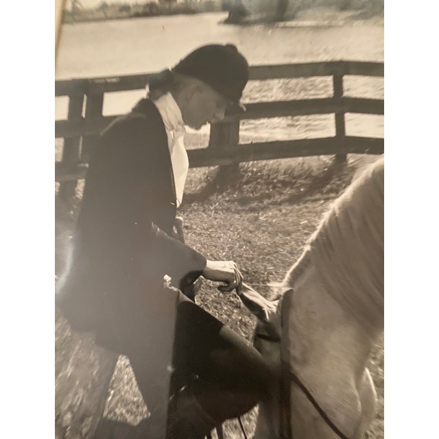 Mid-Century Modern Vintage Mid-Century Equestrian Art: Framed Portrait Attributed to Carol Hofmann Thompson, u.s. Equestrian Team For Sale - Image 3 of 10