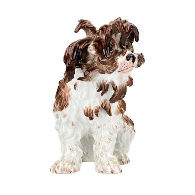 Expressive, one-piece, Meissen porcelain lapdog, 19th century. with a lively and mobile plastic, crouched on its hind...