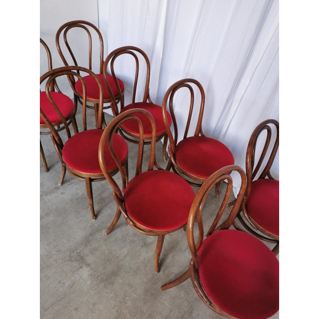 Vintage Bentwood Bistro Chairs, 1970s, Set of 8 For Sale - Image 12 of 18