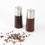 Vintage 1960s Danish salt and pepper shakers in wood and chromed metal, a refined example of Scandinavian modern design...