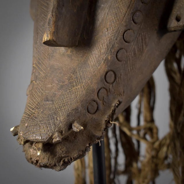 Early 20th Century Bamana Kore Fetish Mask With Cowrie Shell And Horse Hair Mali For Sale - Image 4 of 9