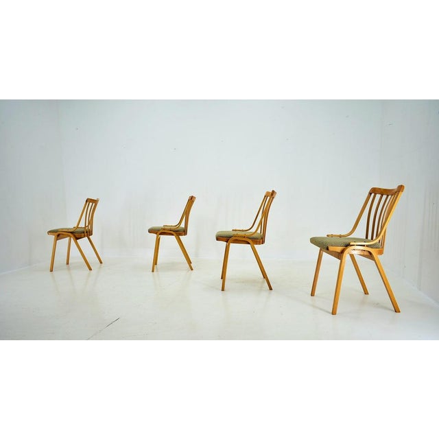 Dining Chairs attributed to Antonín Šuman, 1960s, Set of 4 For Sale - Image 9 of 18