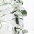 Hand Blown Murano Vase Gomitolo in Clear With a Hint of Green For Sale - Image 10 of 11