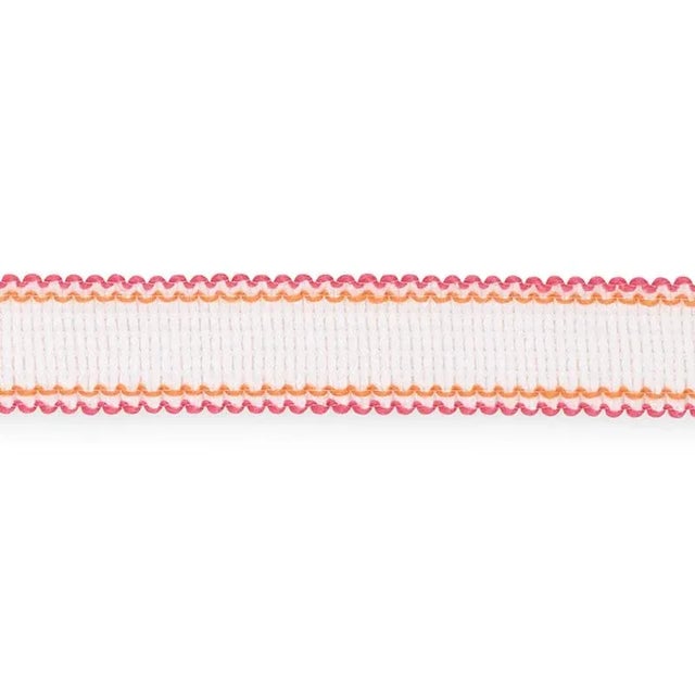 Contemporary Schumacher Filippa Tape Indoor & Outdoor in Azalea For Sale - Image 3 of 3