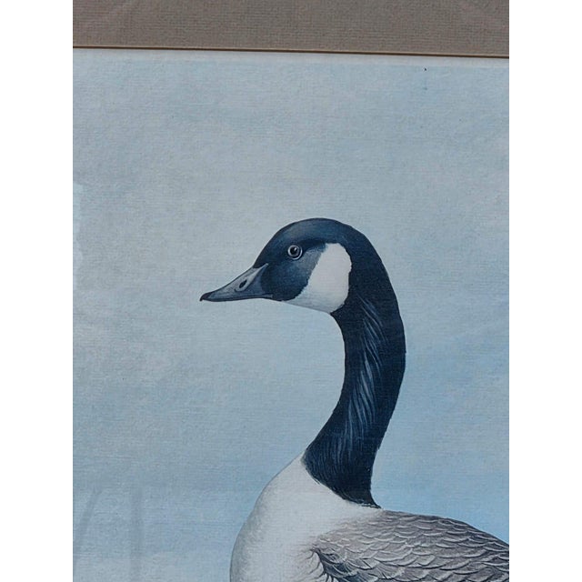 19th Century Beautiful Decorative Painting of Goose Family/ Wood Frame and Glass Cover. For Sale - Image 9 of 14