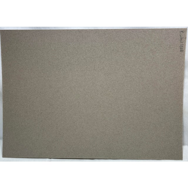 Antique Hand Tinted Bird Print From England Featuring a Whitethroat Warbler - Circa 1888 For Sale - Image 11 of 11