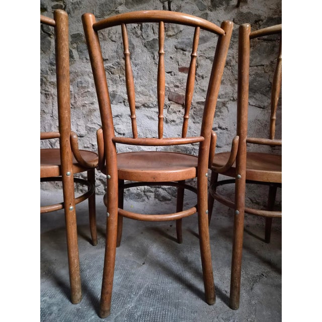 Brown Bentwood Bistro Chairs from Fischel, Former Czechoslovakia, 1930s, Set of 6 For Sale - Image 8 of 18