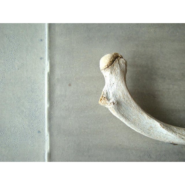 Swen Timm Angermann, Äthiopische Gleichung, 2000, Mixed Media For Sale - Image 14 of 16