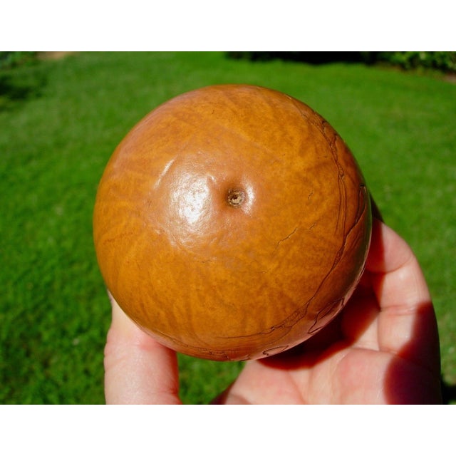 Amber Excellent ChiAntique Chinese Molded Gourd Cricket Cage With Landscape Scene, 18th/19th Century For Sale - Image 8 of 9
