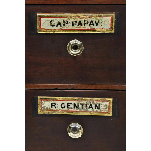 19th Century Victorian Mahogany Apothecary Medicine Cabinet With 10 Drawers Glass Pulls For Sale In Philadelphia - Image 6 of 12