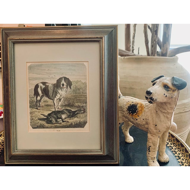 19th-Century Hand Colored French Engraving of a Beagle for "La Chasse Illustree" by Firmin Didot in 1867-1868. The...