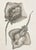 Early 19th Century 1804 Stingray Engraving | George Shaw Antique Nautical Print For Sale - Image 5 of 5