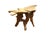 Early 20th Century California Redwood Sculptural Root Table For Sale - Image 16 of 18